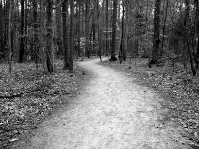 trail in Battle Park