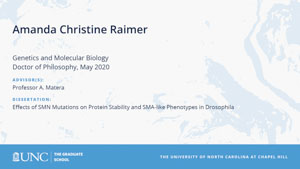 Amanda Christine Raimer, Genetics and Molecular Biology, Doctor of Philosophy, May 2020, Advisors: Professor A. Matera, Dissertation: Effects of SMN Mutations on Protein Stability and SMA-like Phenotypes in Drosophila