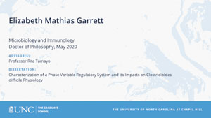 Elizabeth Mathias Garrett, Microbiology and Immunology, Doctor of Philosophy, May 2020, Advisors: Professor Rita Tamayo, Dissertation: Characterization of a Phase Variable Regulatory System and Its Impacts on Clostridioides difficile Physiology