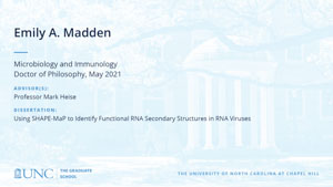 Emily A. Madden, Microbiology and Immunology, Doctor of Philosophy, May 2021, Advisors: Professor Mark Heise, Dissertation: Using SHAPE-MaP to Identify Functional RNA Secondary Structures in RNA Viruses