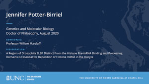 Jennifer Potter-Birriel, Genetics and Molecular Biology, Doctor of Philosophy, August 2020, Advisors: Professor William Marzluff, Dissertation: A Region of Drosophila SLBP Distinct From the Histone Pre-mRNA Binding and Processing Domains is Essential for Deposition of Histone mRNA in the Oocyte 