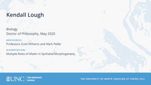 Kendall Lough, Biology, Doctor of Philosophy, May 2020, Advisors: Professors Scott Williams and Mark Peifer, Dissertation: Multiple Roles of Afadin in Epithelial Morphogenesis