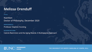 Melissa Orenduff, Nutrition, Doctor of Philosophy, December 2020, Advisors: Professor Stephen Hursting, Dissertation: Calorie Restriction and the Aging Muscle: A Multispecies Approach