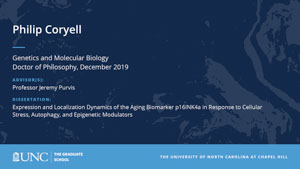 Philip Coryell, Genetics and Molecular Biology, Doctor of Philosophy, 19-Dec, Advisors: Professor Jeremy Purvis, Dissertation: Expression and Localization Dynamics of the Aging Biomarker p16INK4a in Response to Cellular Stress, Autophagy, and Epigenetic Modulators 