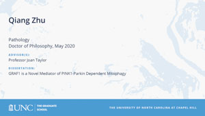 Qiang Zhu, Pathology, Doctor of Philosophy, May 2020, Advisors: Professor Joan Taylor, Dissertation: GRAF1 is a novel mediator of PINK1-Parkin dependent mitophagy