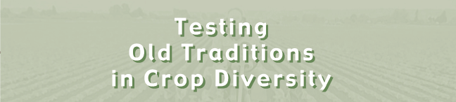 Testing Old Traditions in Crop Diversity