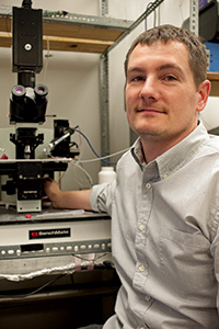 Buddy Whitman in one of the Breese labs where he spends most of his day examining alcohol's effects on the brain.