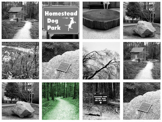 Photo Collage of Chapel Hill and Carrboro - Nature