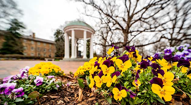 Closeup of purple and yellow pansies with The Old Well in the background