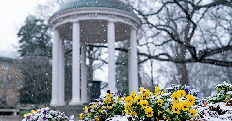 The Old Well with light snow falling and yellow flowers in the foreground